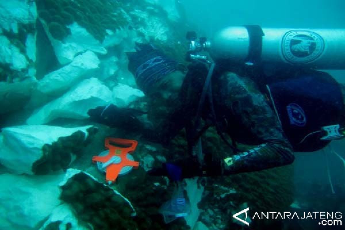 Aktivis Lingkungan Sesalkan Terulangnya Perusakan Karang Karimunjawa