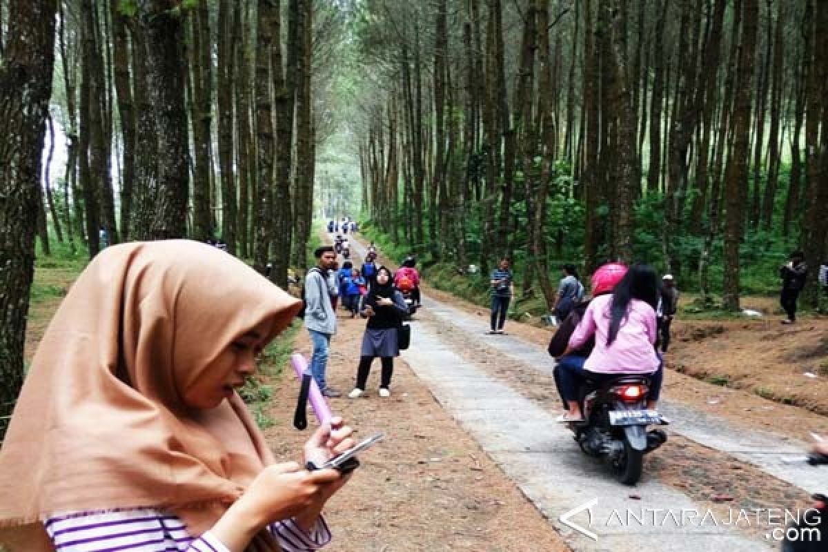 Hutan Kragilan Magelang, Tawarkan Sensasi Swafoto