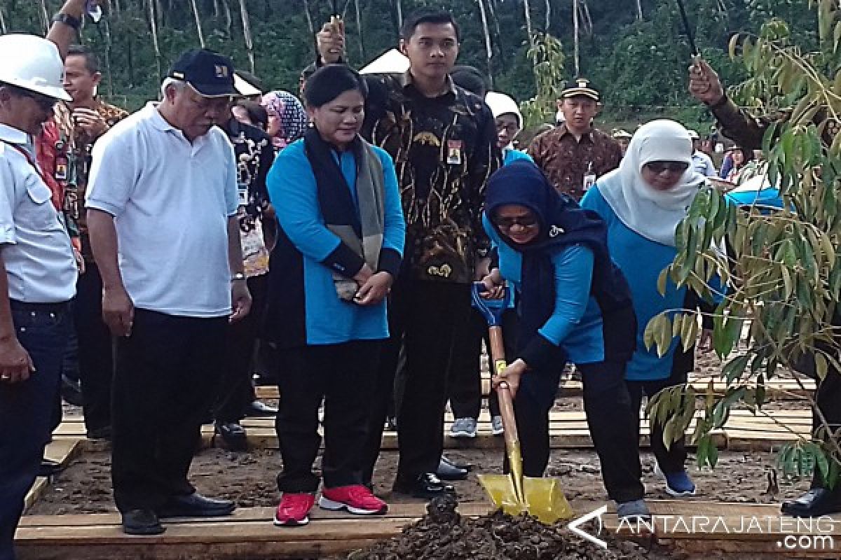 Iriana Jokowi Tanam Pohon Durian di Waduk Gondang