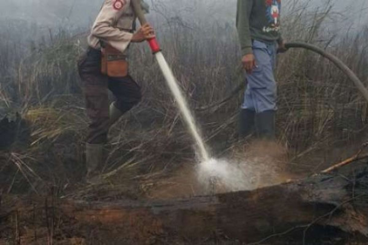 6 Hektare Lahan Kelompok Tani Perusahaan Terbakar di Teluk Meranti