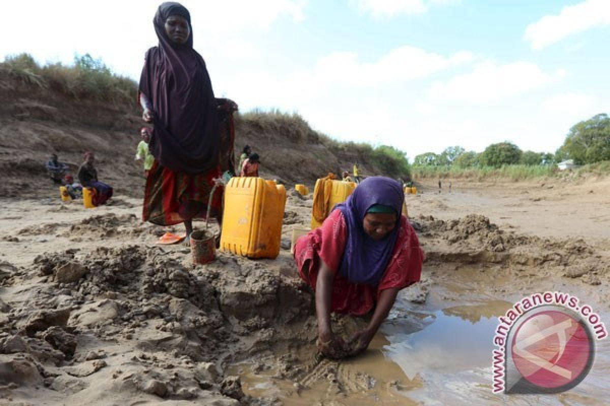 Kekeringan di Somalia, 110 Orang Tewas dalam 48 Jam