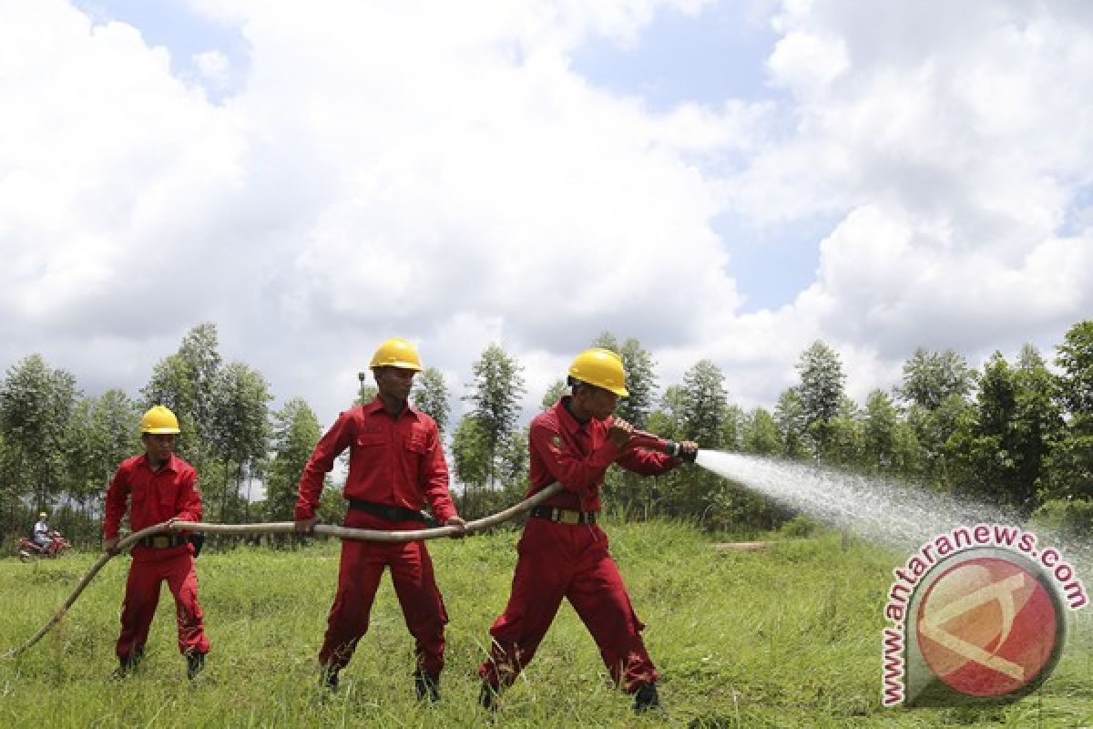 Perusahaan perkebunan diminta tanggap terhadap kebakaran lahan