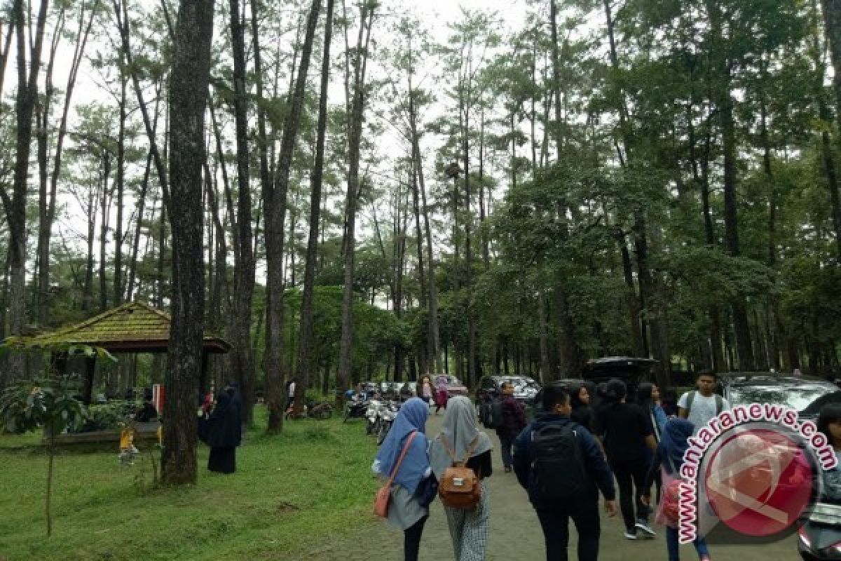 Hutan Kota Rajawali Jadi Destinasi Wisata di Batang