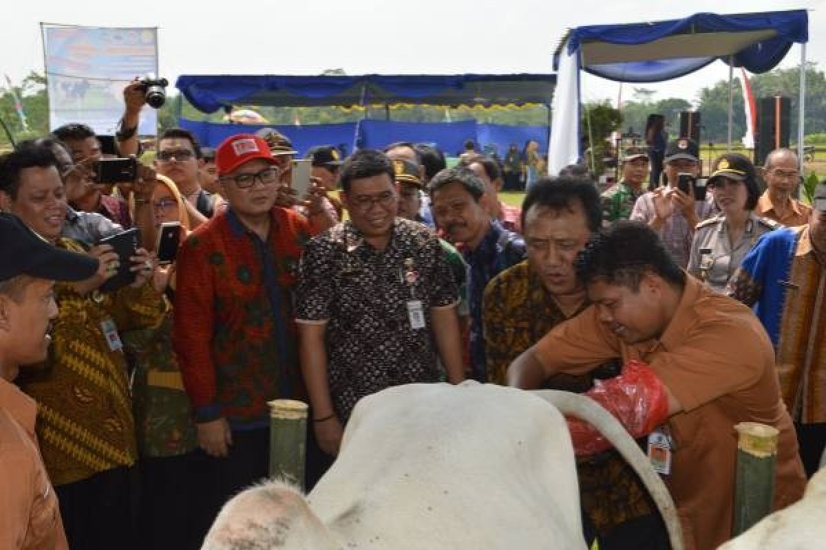 Memajukan Sektor Peternakan di Banyumas