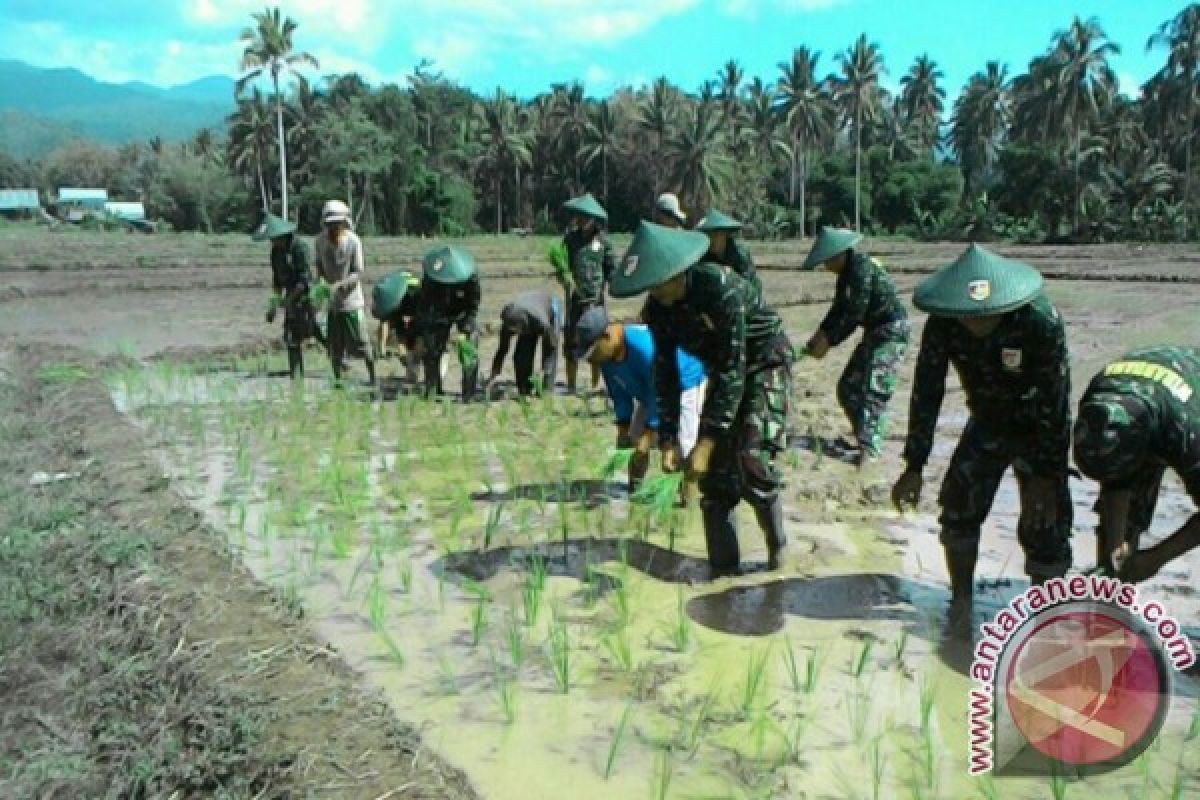 Cetak Sawah Baru Mencapai 885 Hektare 