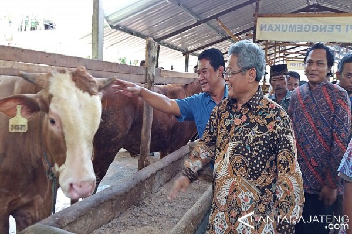 Wujudkan Kemandirian, PT WMP Bermitra dengan Petani Wonogiri