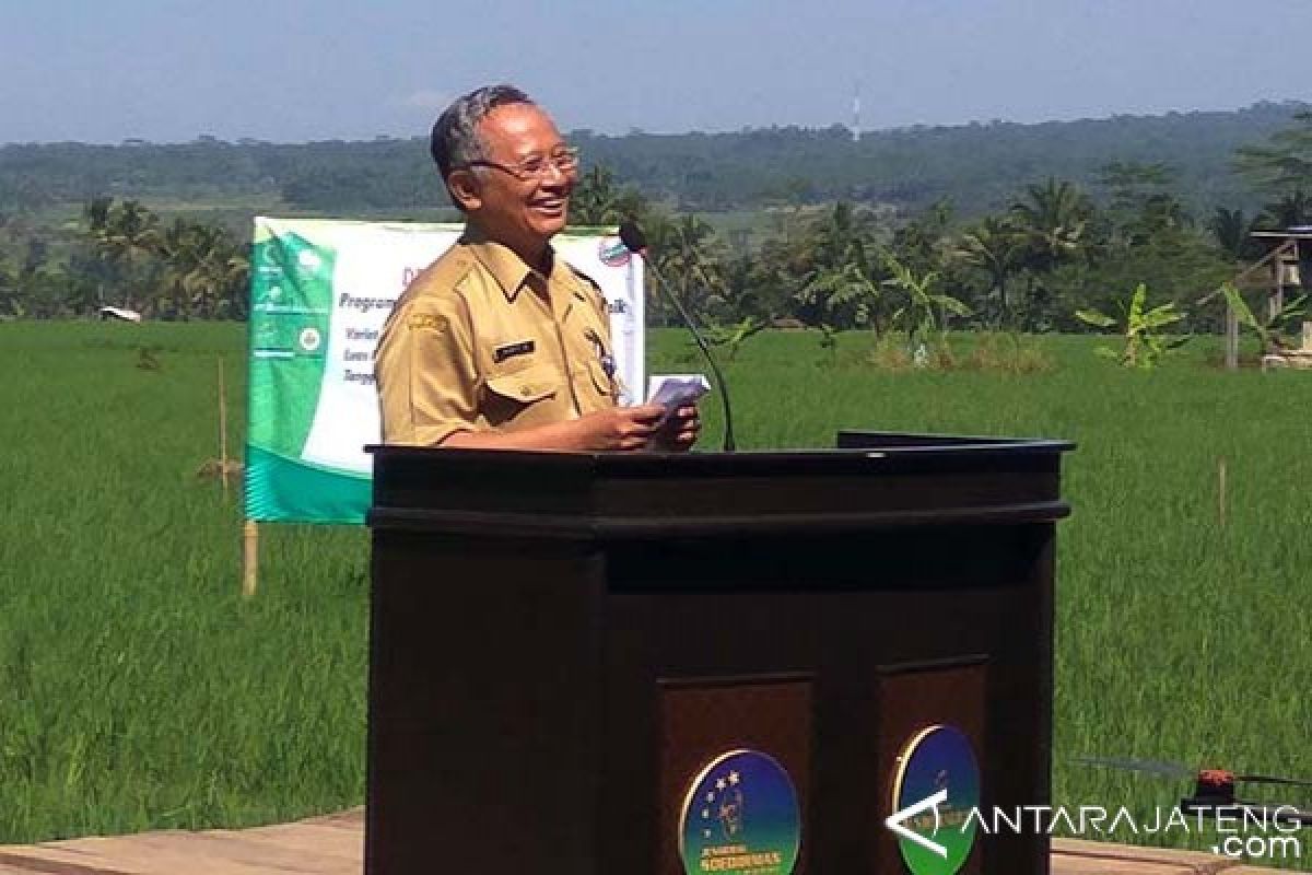 Peningkatan Produksi Pertanian Perlu Inovasi Teknologi