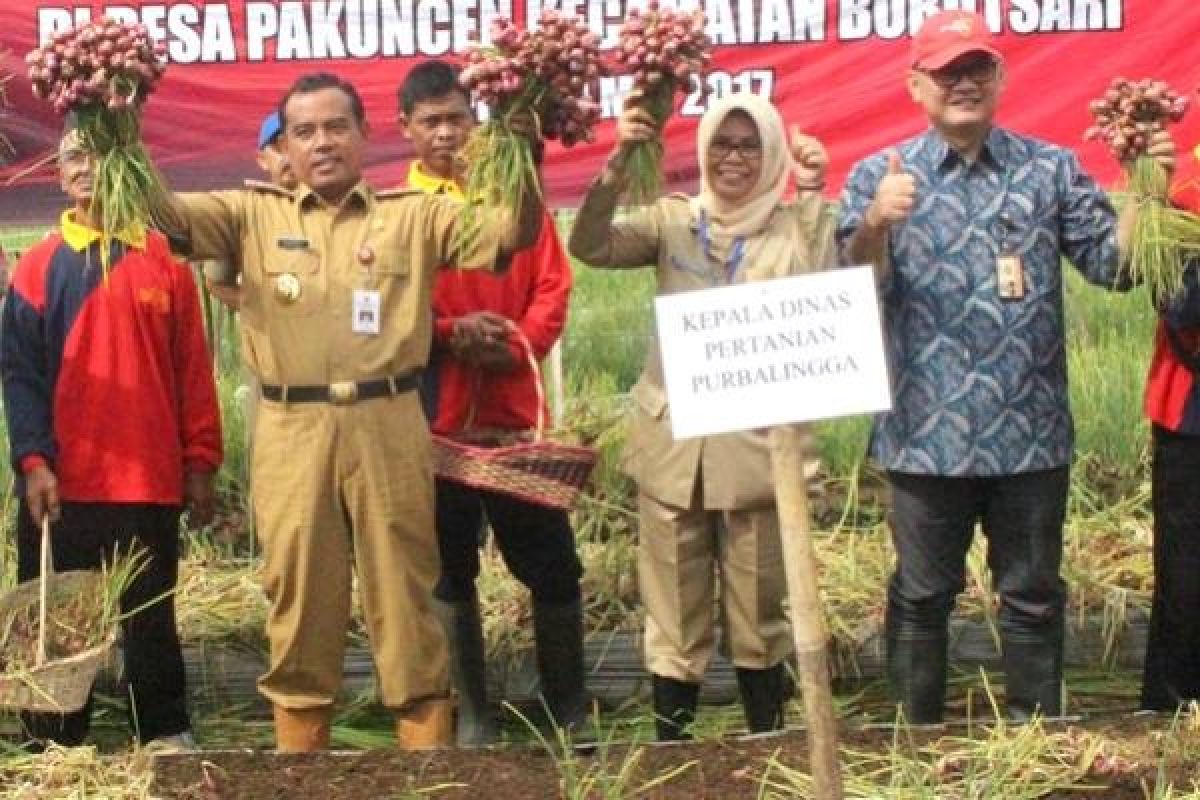 Purbalingga Siap Kembangkan Budi Daya Bawang Merah