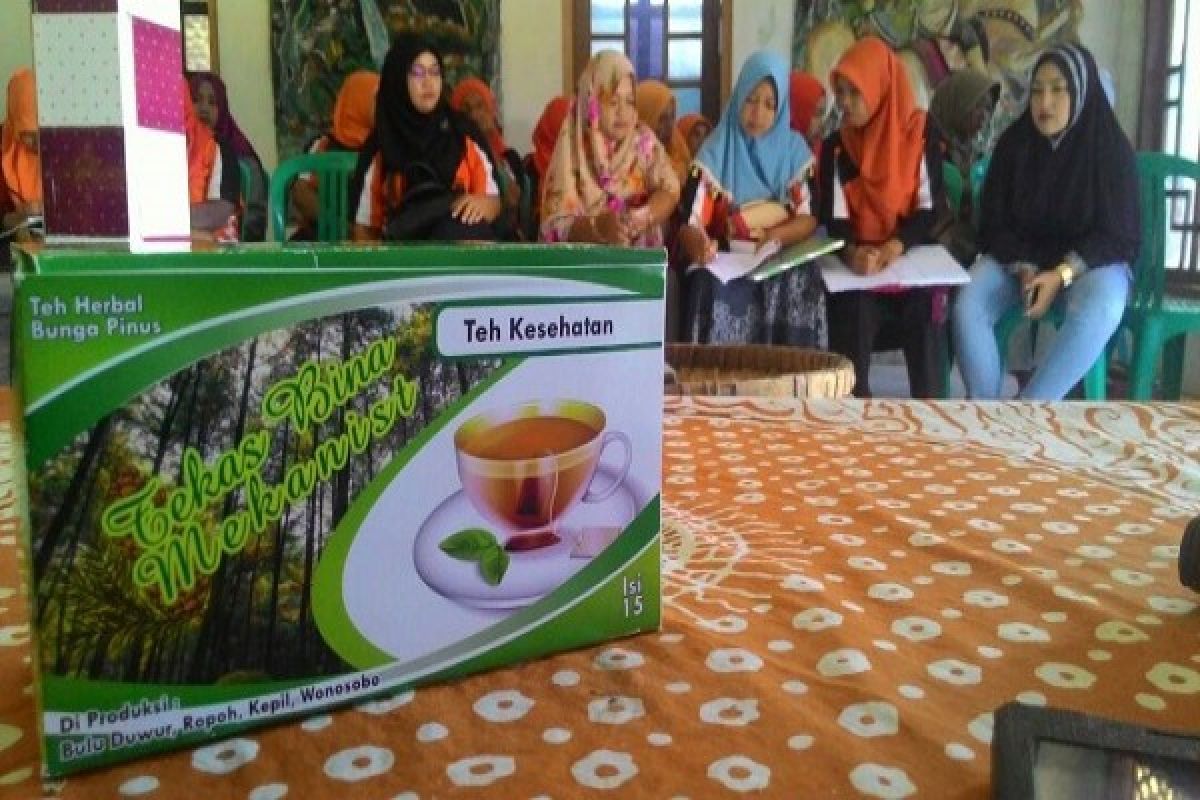 Tingkatkan Imunitas Tubuh dengan Teh Herbal Bunga Pinus