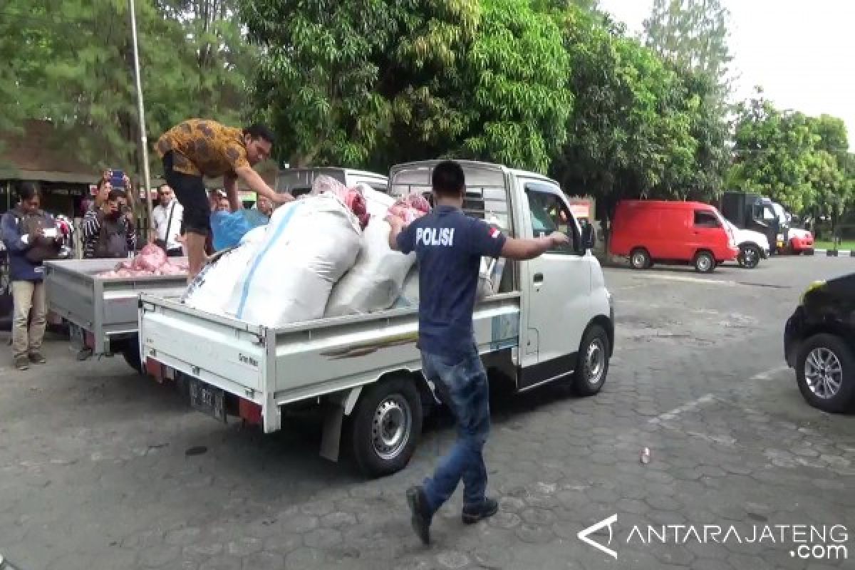 1,5 Ton Daging Babi Hutan Disita Polisi