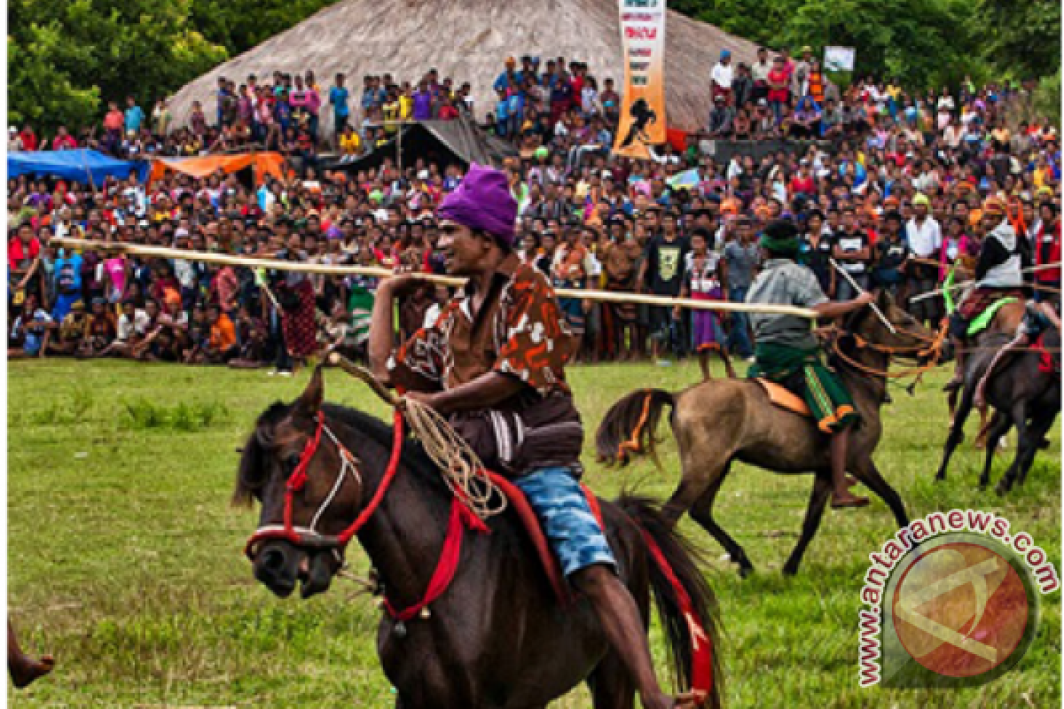 Parade 1001 Kuda Sumba Usai Lebaran 2017 