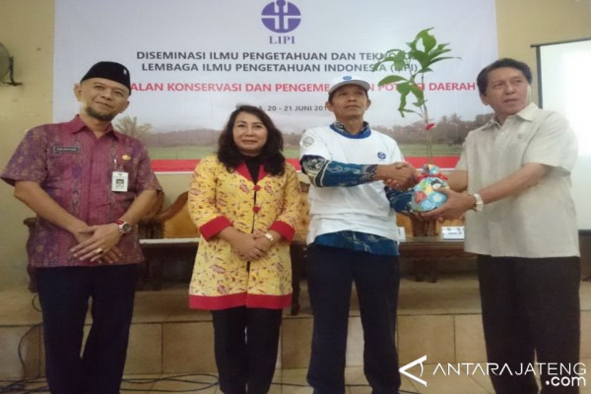 Petani Jepara Terima Bantuan 3.000 Bibit Kopi