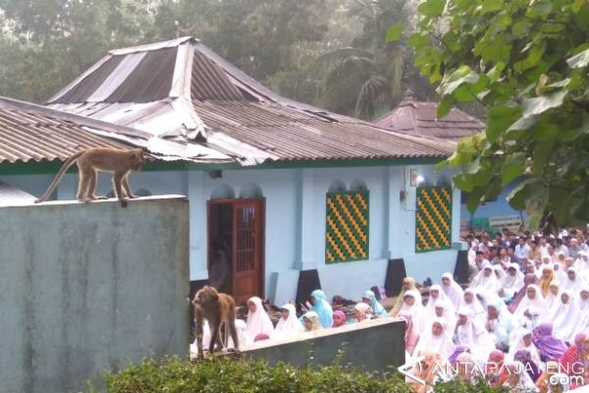 Hari Ini, Penganut Islam Aboge Laksanakan Shalat Idul Fitri