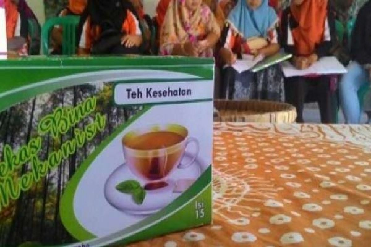 Mahasiswa UM Magelang Ciptakan Teh Kantong Herbal dari Bunga Pinus