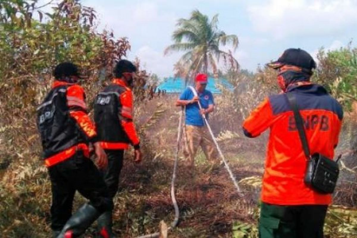 Tiga Provinsi Berikut Menetapkan Diri Siaga Darurat Karhutla