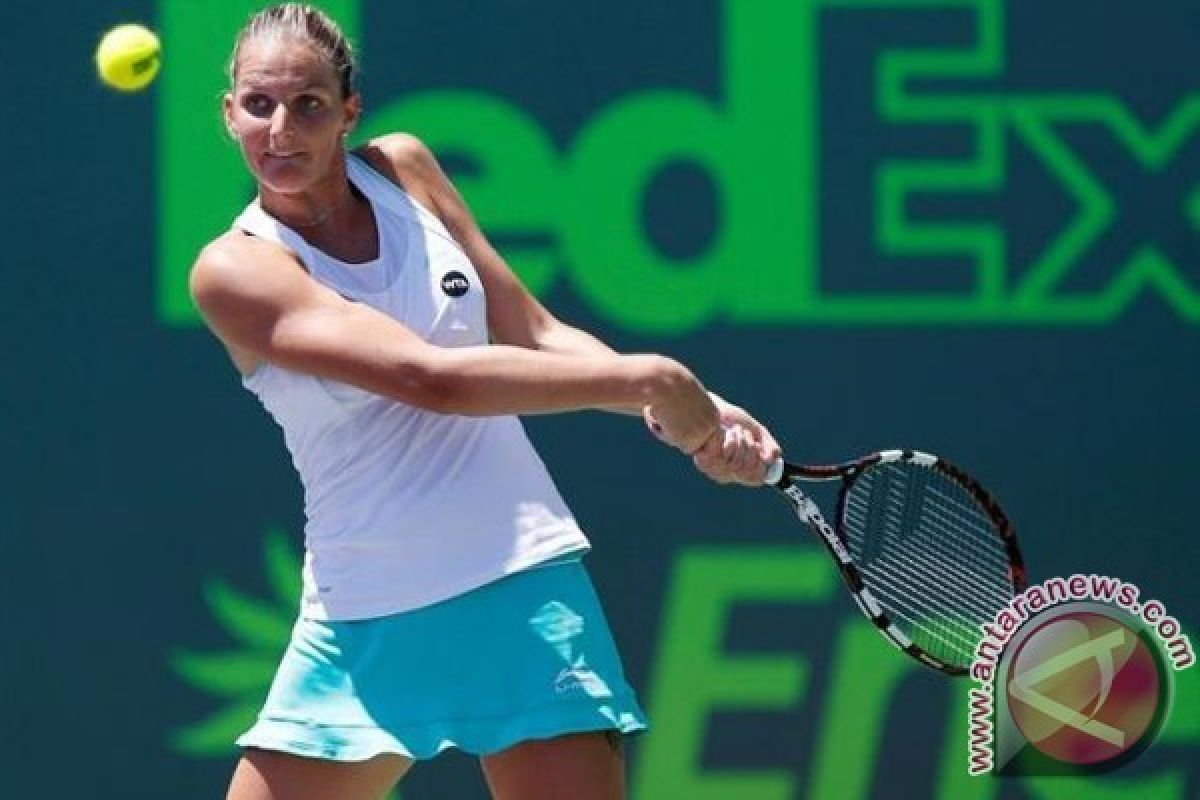 Geser Kerber, Karolina Pliskova Jadi Petenis Peringkat Satu Dunia