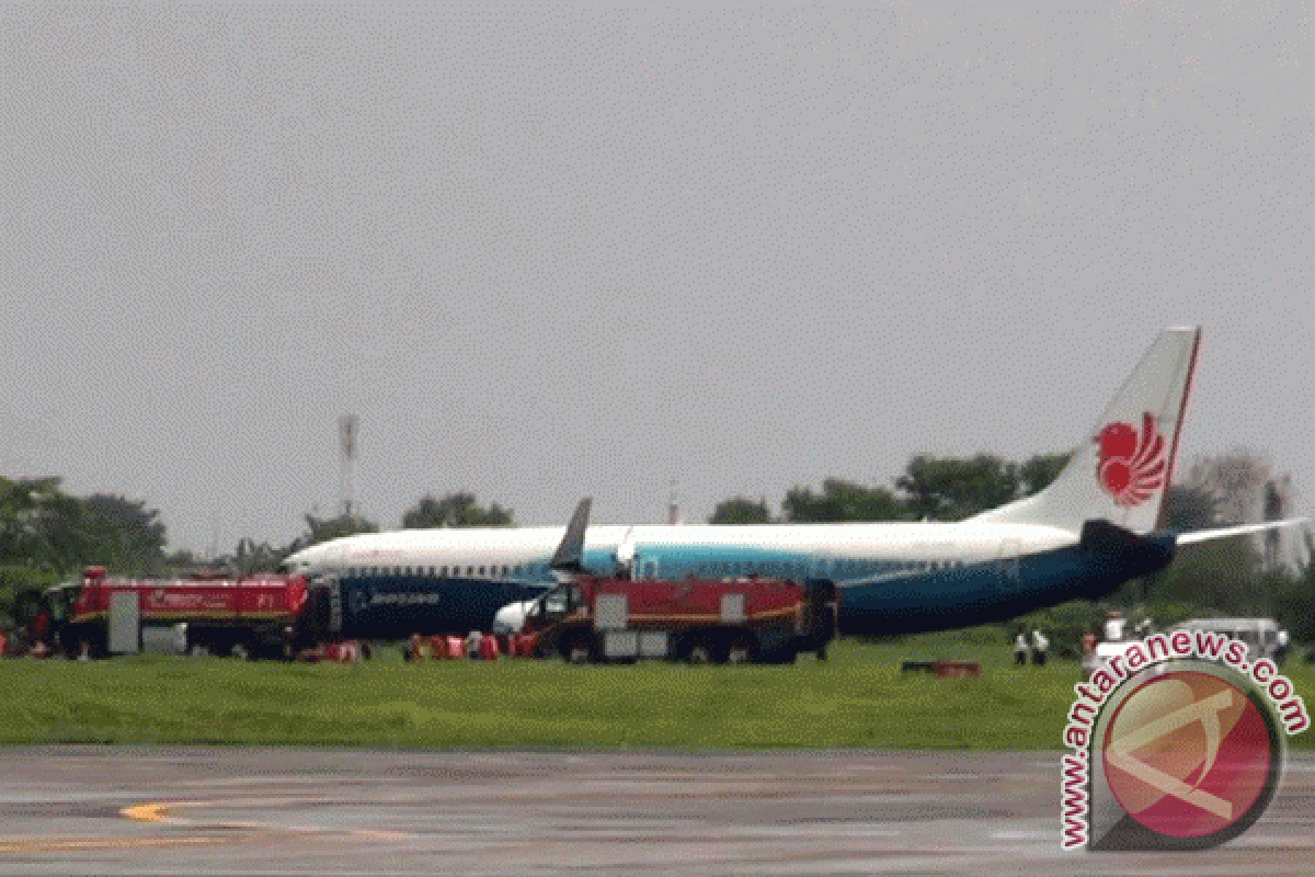 Bandara Juanda Gunakan Suara Hewan Predator untuk Usir 42 Jenis Burung