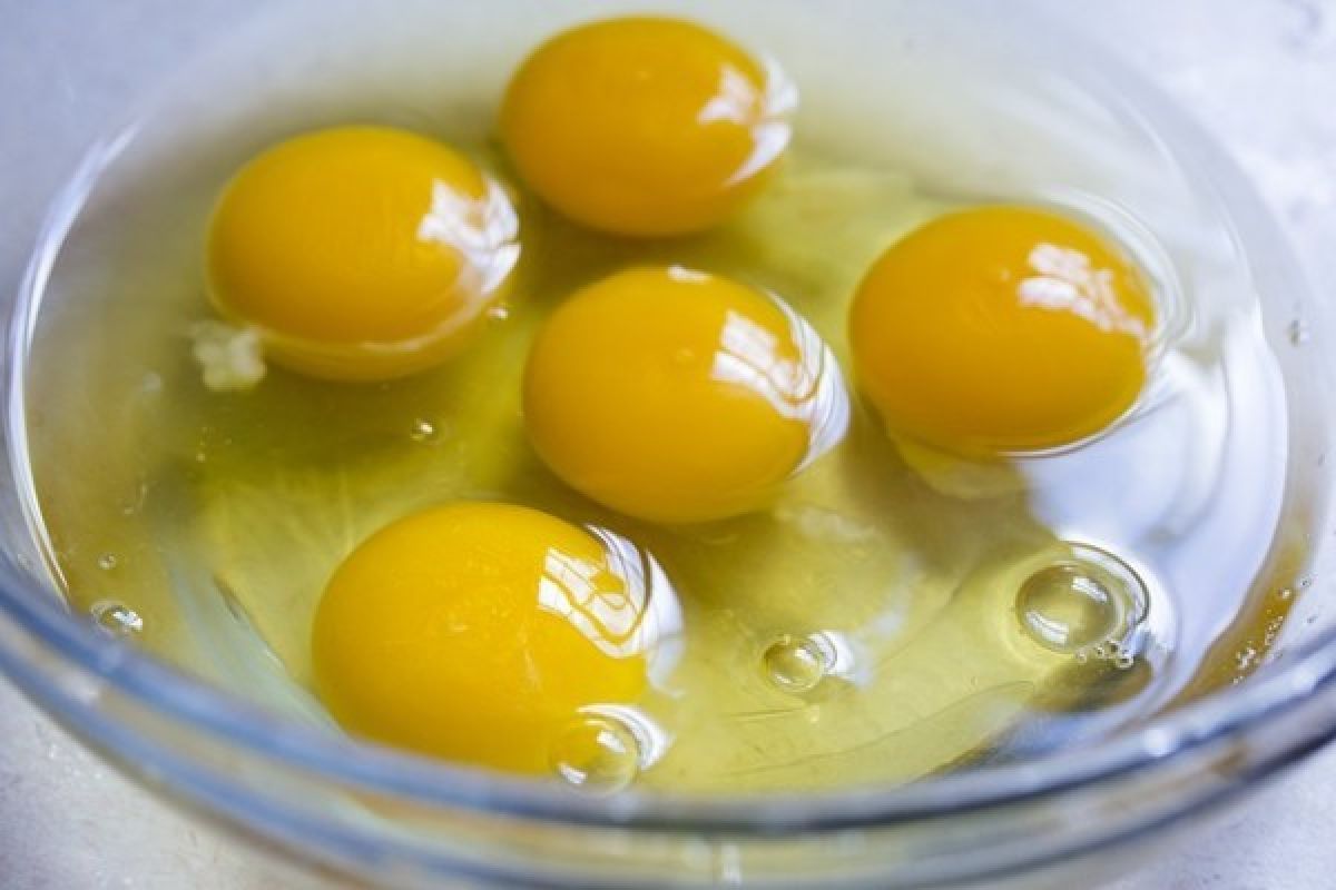 Saatnya Berhenti Makan Putih Telur Saja, Mengapa?