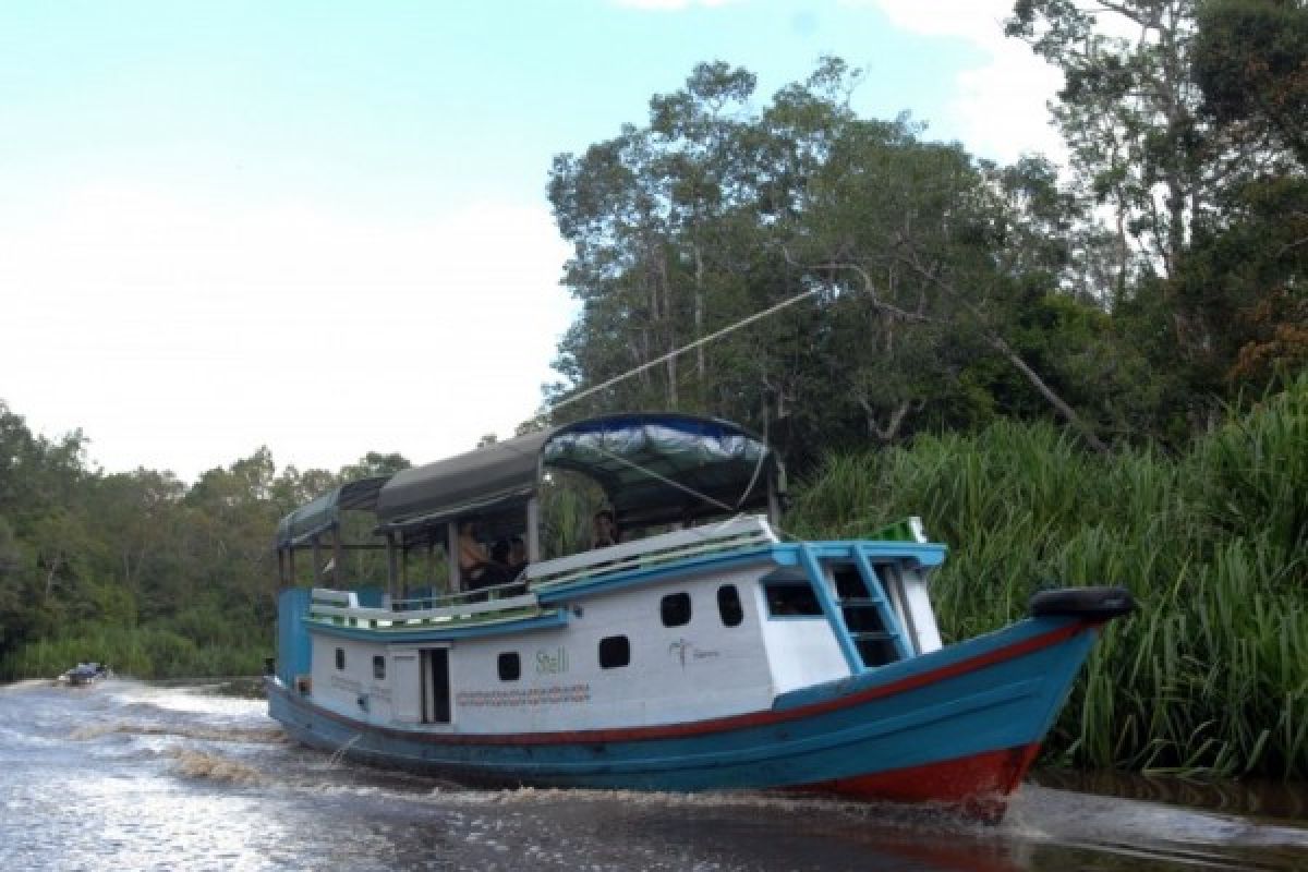 Misteri Sungai Sekonyer di Tanjung Puting