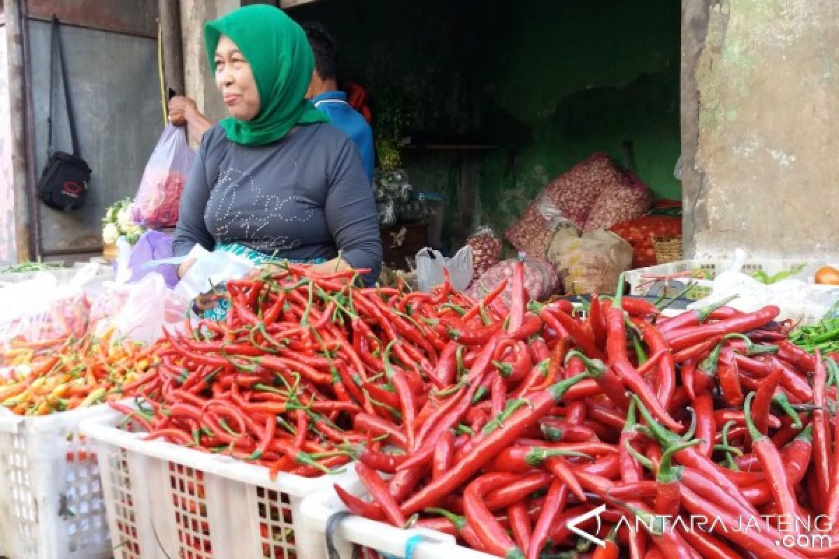 Fluktuasi Harga Cabai Masih Jadi PR Pemerintah