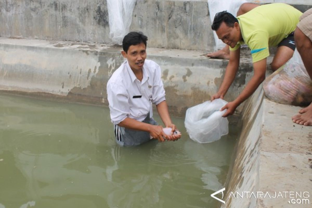 Lelang proyek renovasi balai benih ikan Kudus dimulai