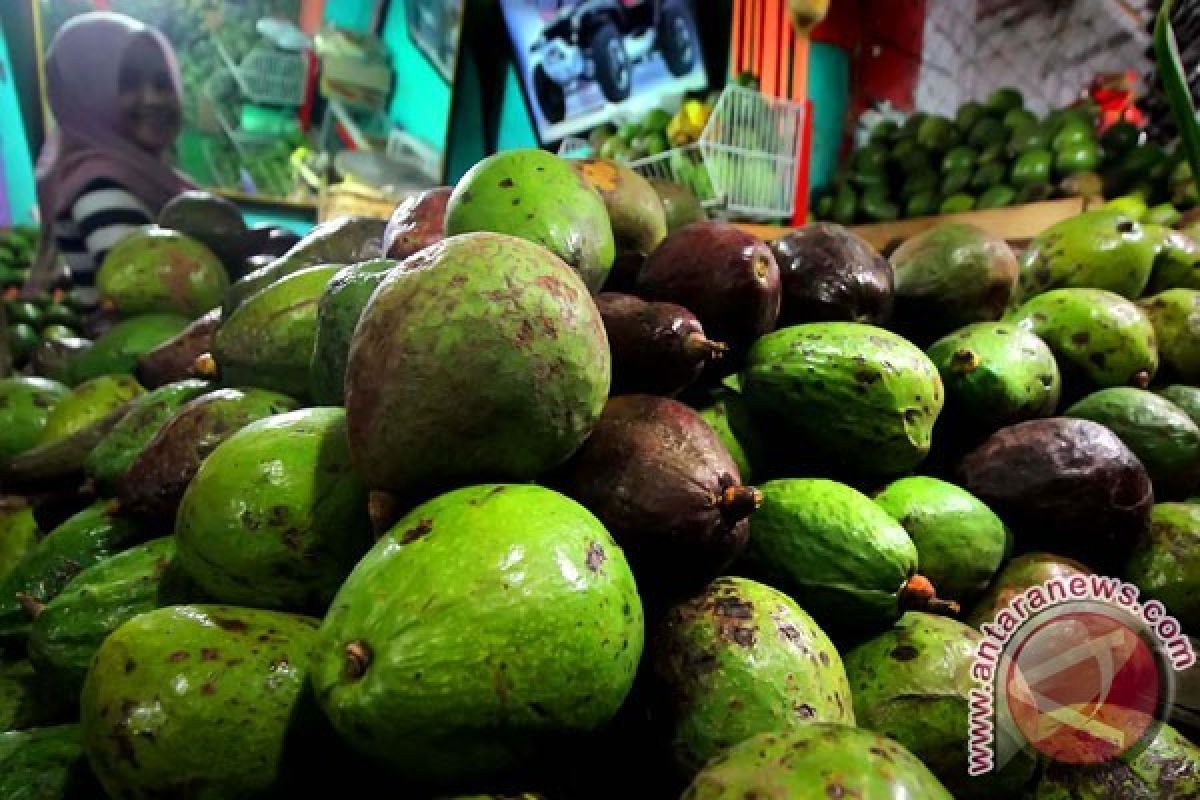 Kacang-kacangan, Minyak Zaitun, dan Alpukat Bagus untuk Kecerdasan