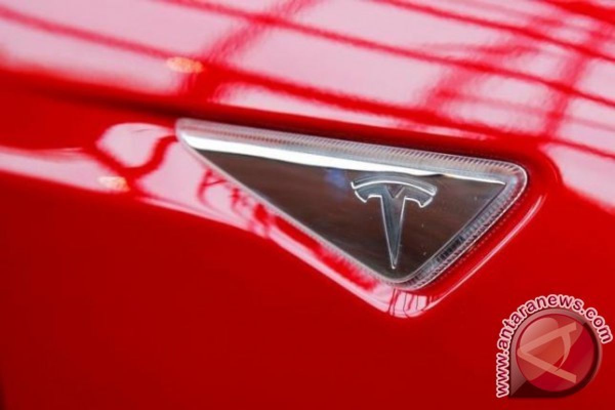 Tesla Berencana Perkenalkan Truk Transportasi Berat