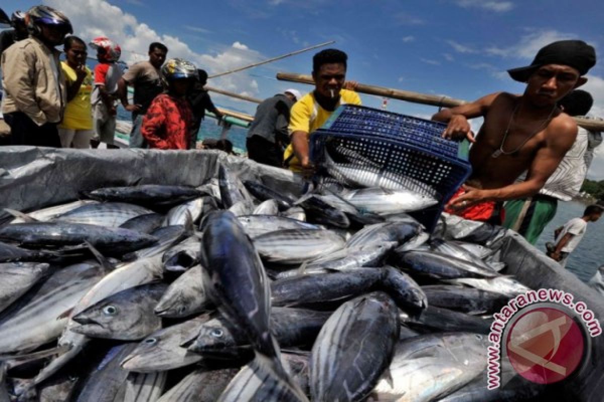 Ikan Tuna-Cakalang jadi primadona ekspor NTT