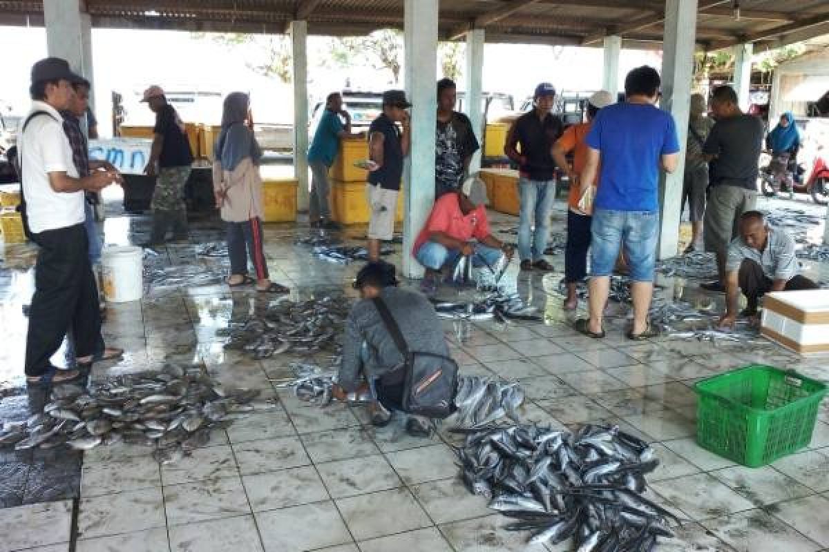 Nelayan Cilacap Mulai Panen Ikan Bawal Putih