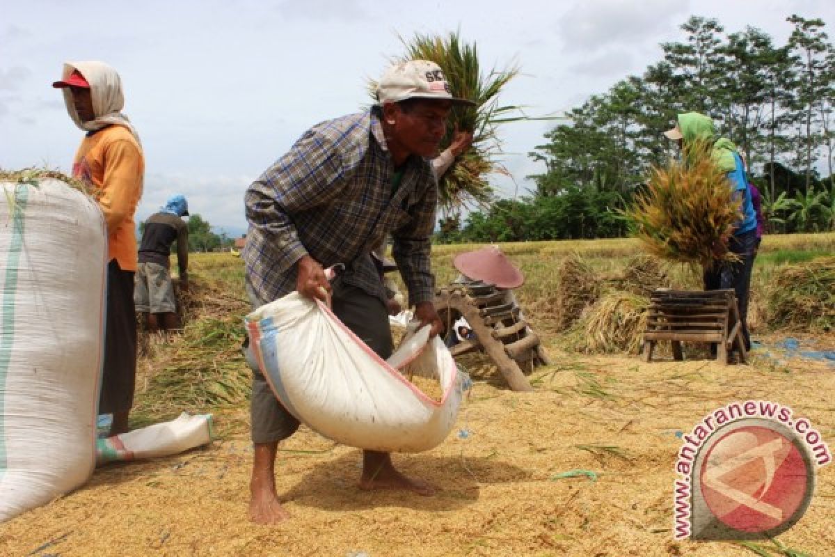 Beban NTT dalam memenuhi kebutuhan pangan