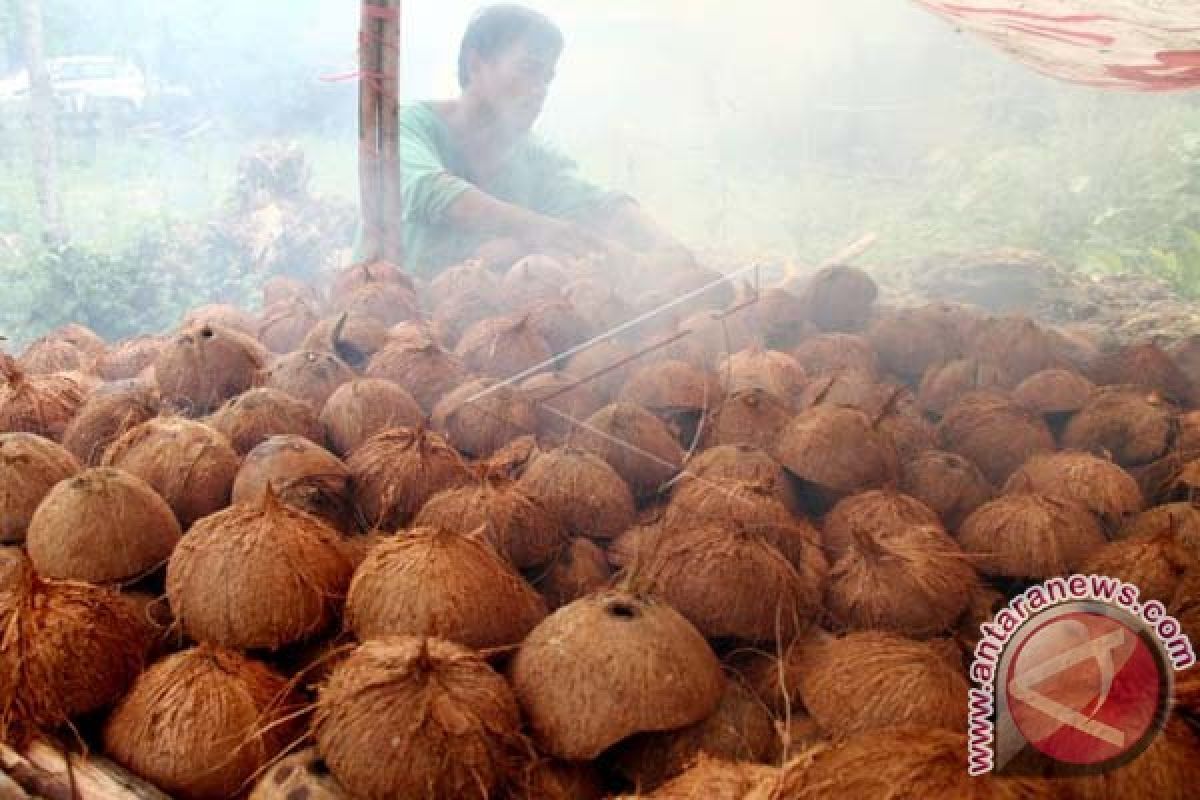 PENGASAPAN KOPRA