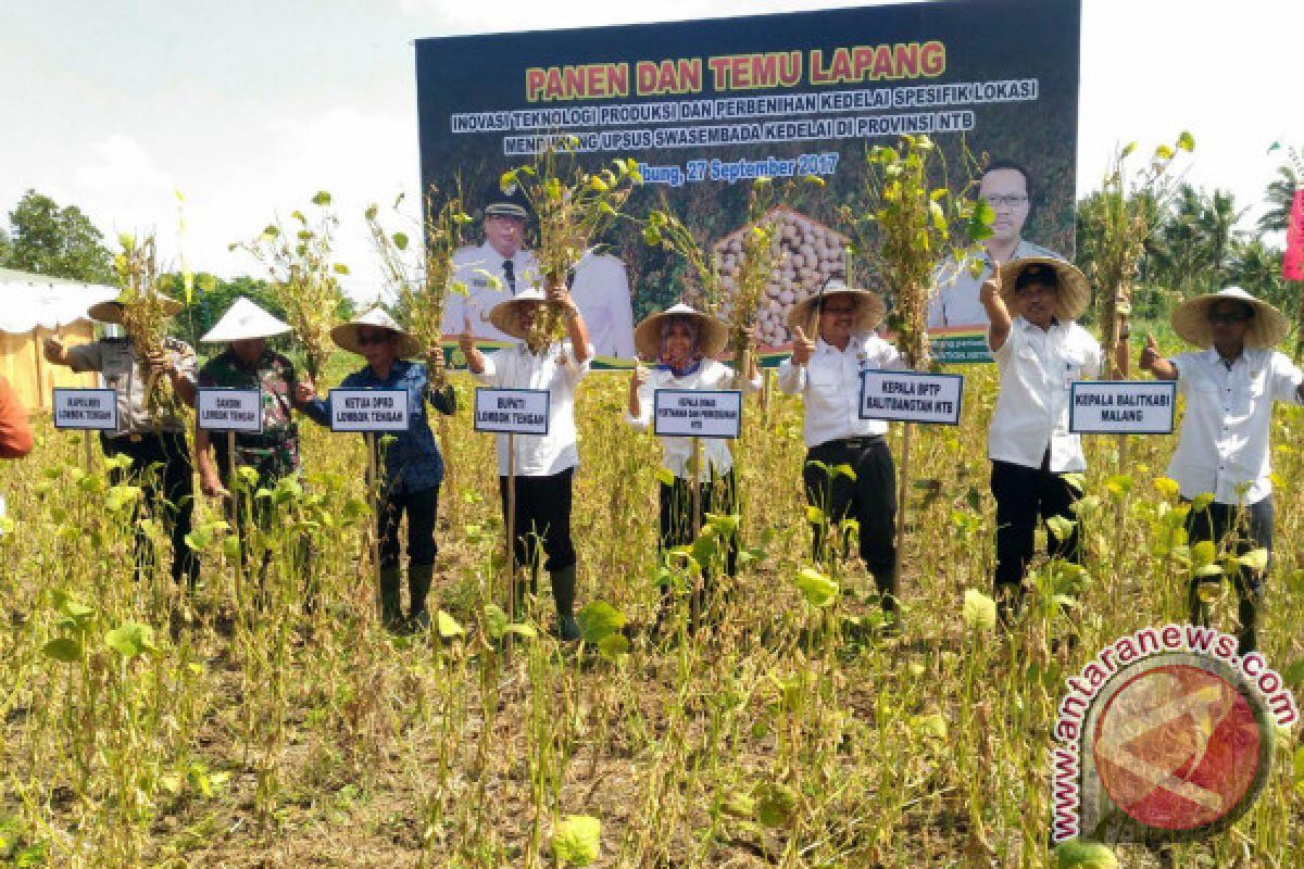 BPTP NTB Dorong Petani Terapkan Teknologi PTT Kedelai 