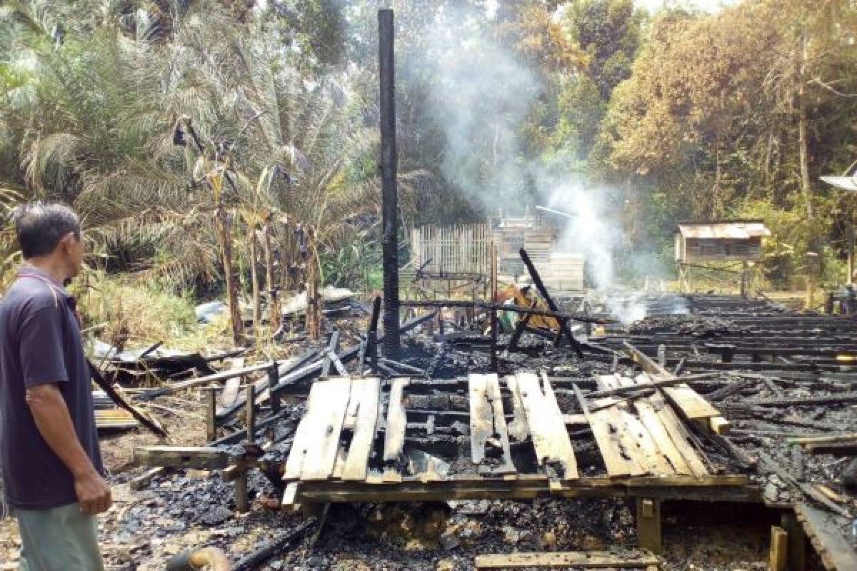 Dua Rumah di Mentawa Baru Ketapang Terbakar