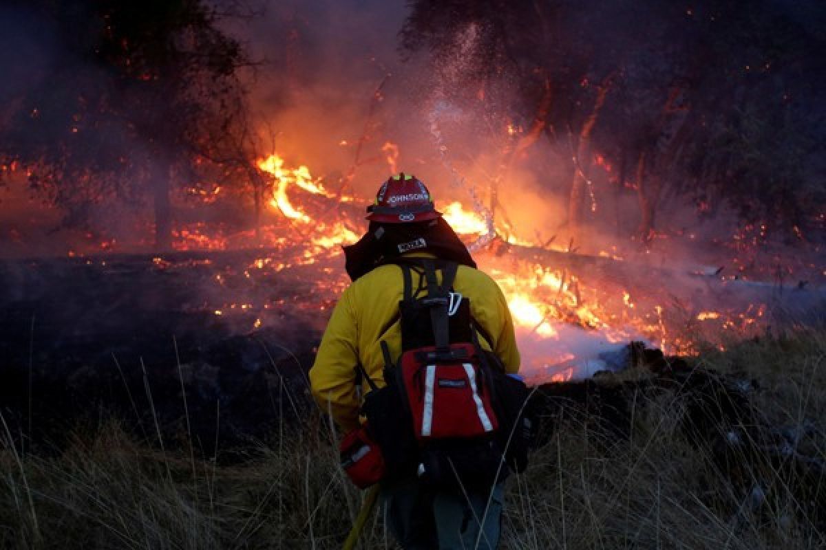 Korban Tewas Kebakaran Hutan California Jadi 40 Orang