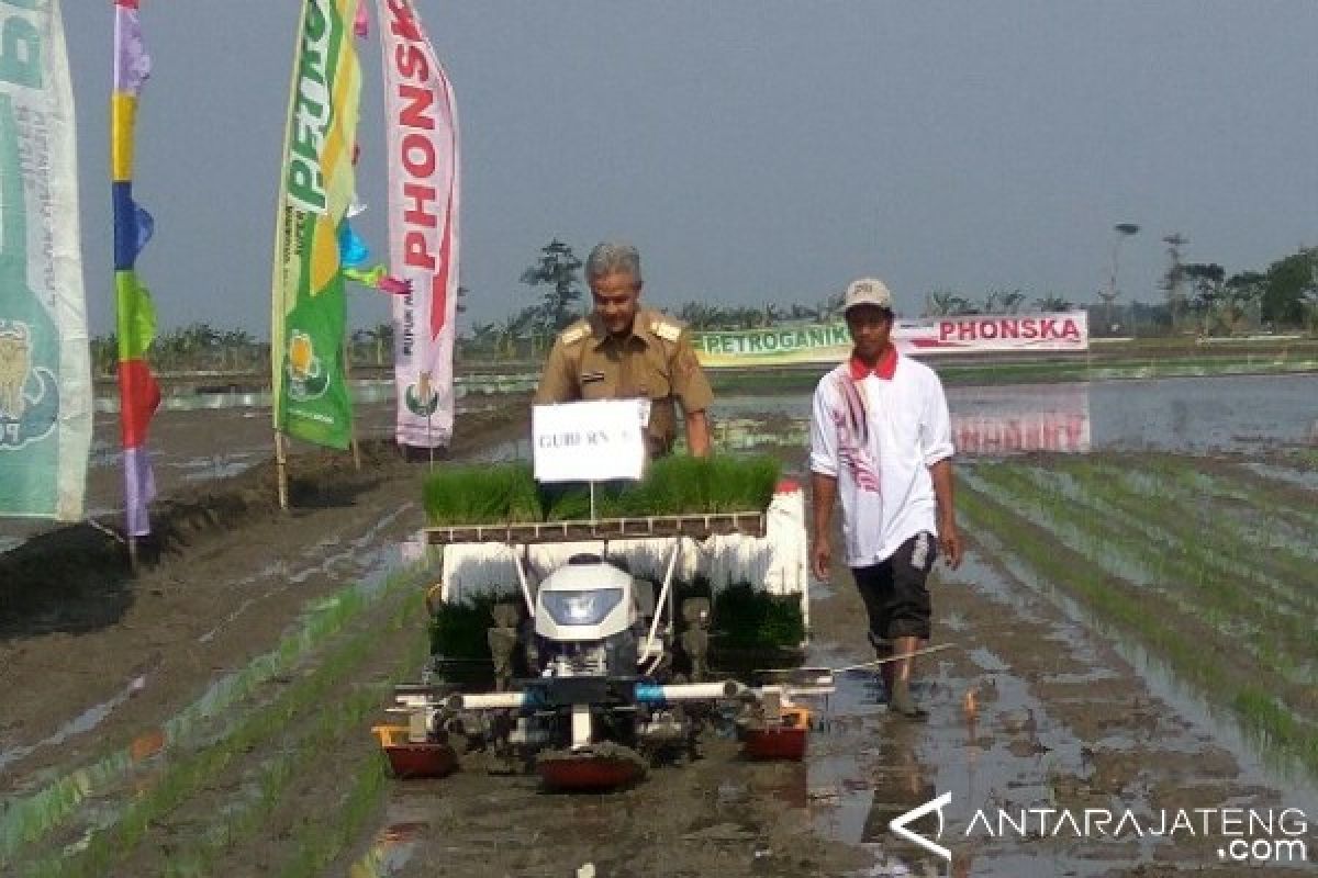 Sektor Pertanian Banyak Kemajuan Signifikan