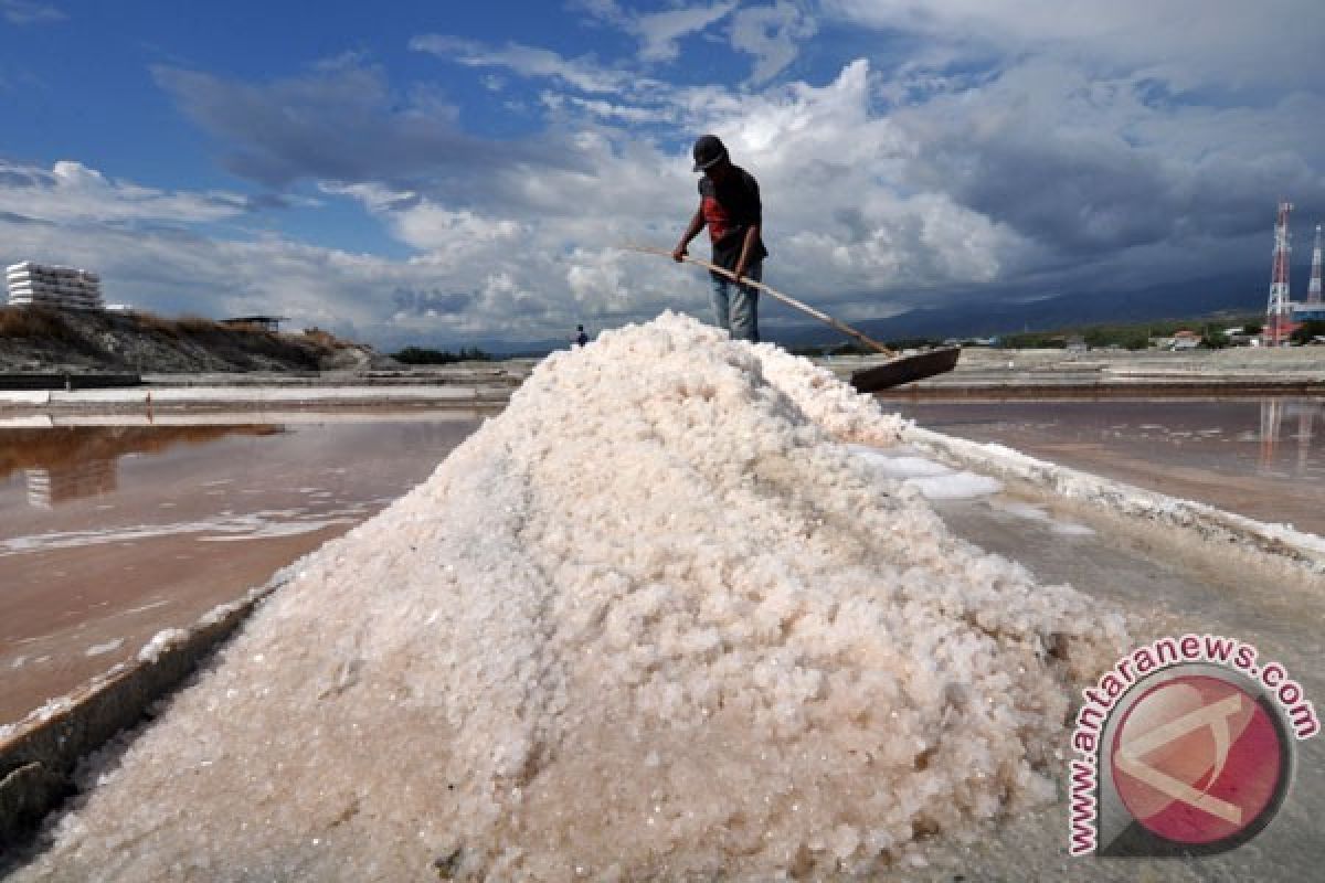 BPPT Mampu Rekayasa Teknologi Produksi Garam