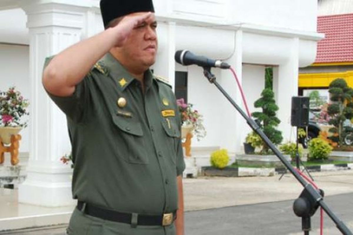 Hadiri Pengukuhan PSMTI Inhu, Begini Tanggapan Bupati Yopi