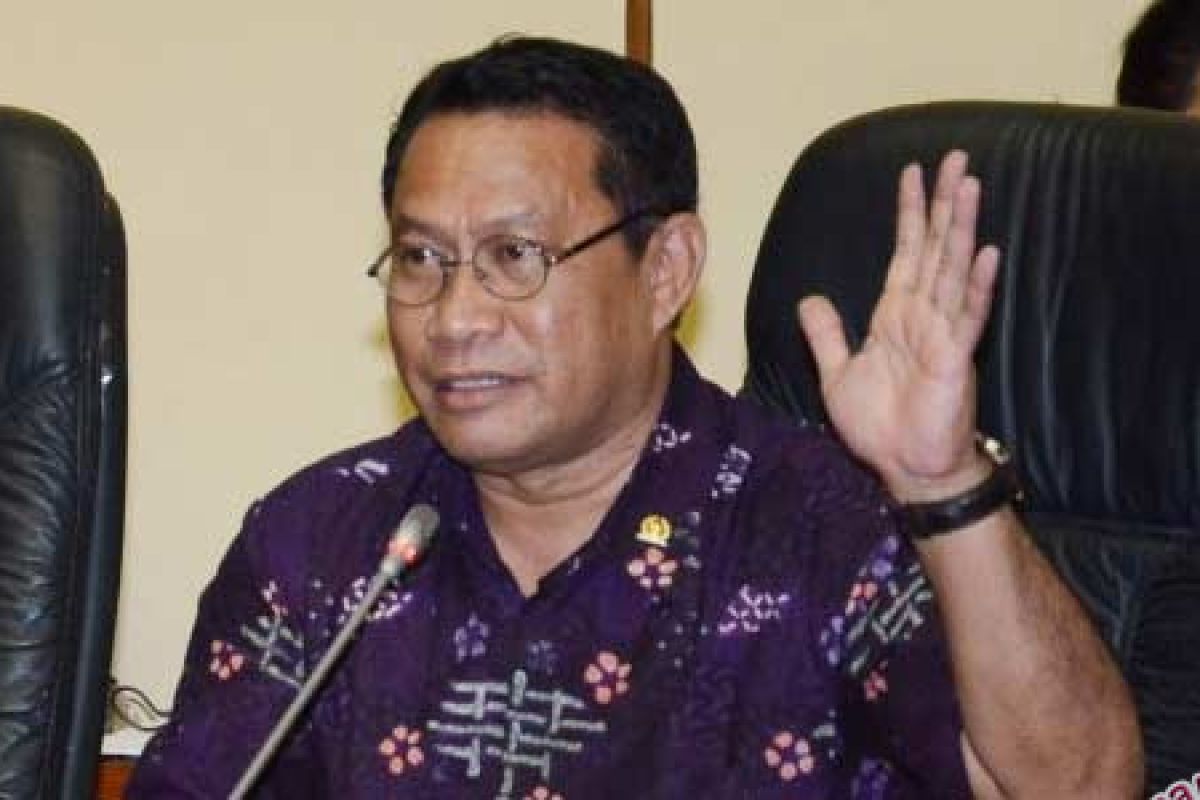 DPR desak pemerintah usut kematian Adelina