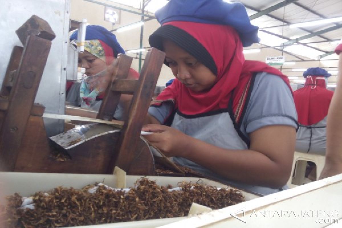 Industri Tembakau Kendal Kurangi Minat Jadi TKW