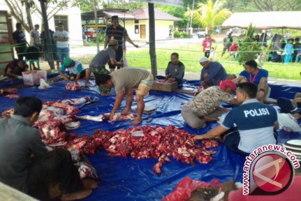 Distan Baubau Bina Pelaku Usaha Pemotongan Hewan