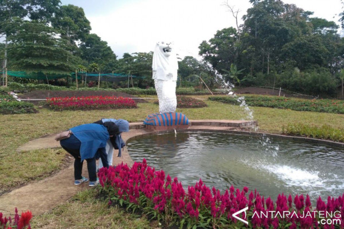 Taman Bunga Celosia Lengkapi Objek Wisata Semarang