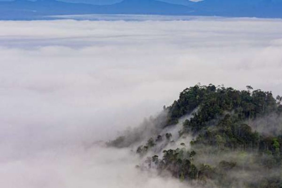 Berani Ke Bukit Suligi, Berani Jatuh Cinta 