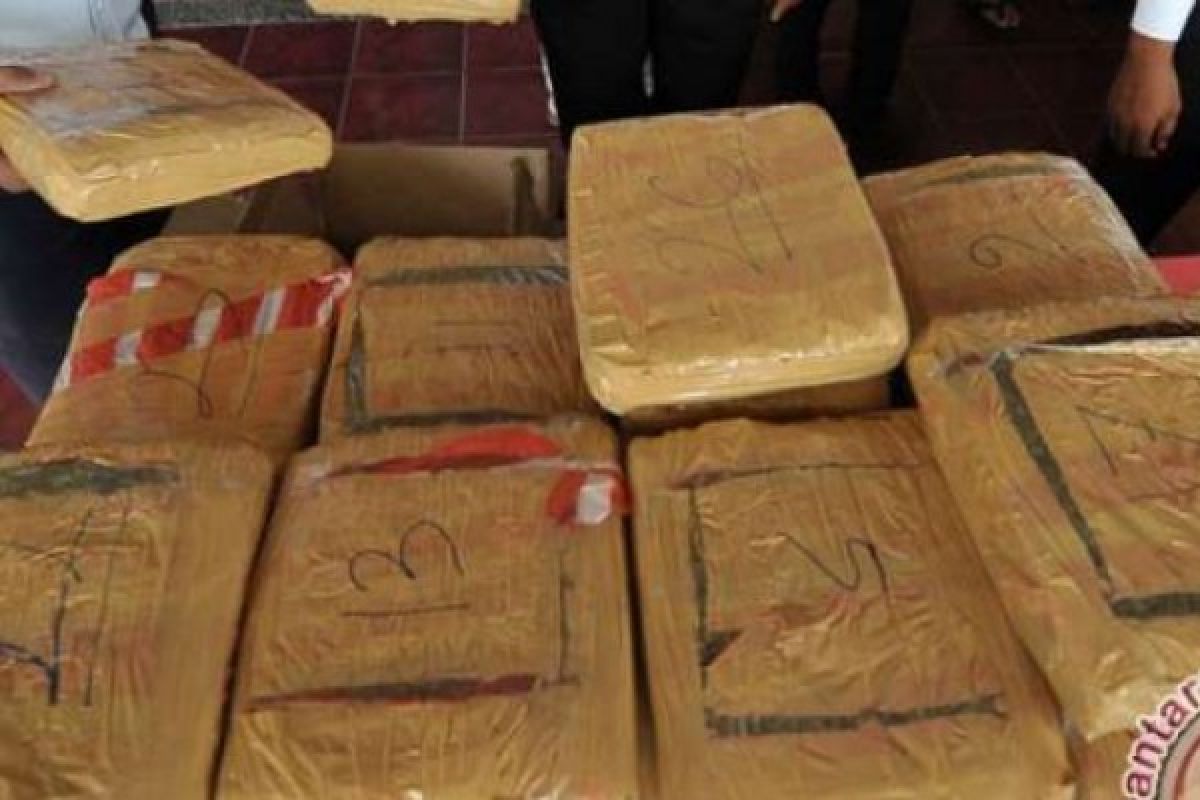 Dalam Dua Hari Polres Dumai Sita 4,5 Kilogram Ganja-Sabu