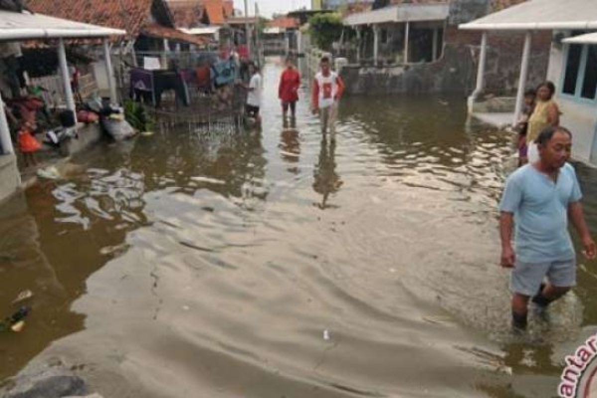 Dilanda Hujan Deras, Ratusan Rumah Di Inhu Terendam Banjir