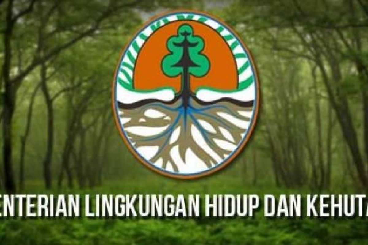 Program Perhutanan Sosial Petani Riau Dapatkan Dukungan Langsung KLHK