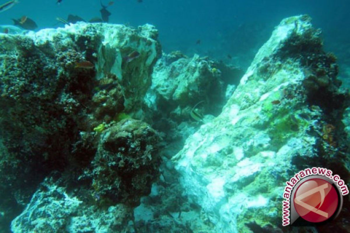 Gili Sulat, Gili Lawang Coral Reefs In Alarming State: WCS