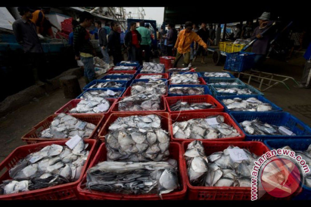 Di Kendari, harga ikan asin  melebihi daging