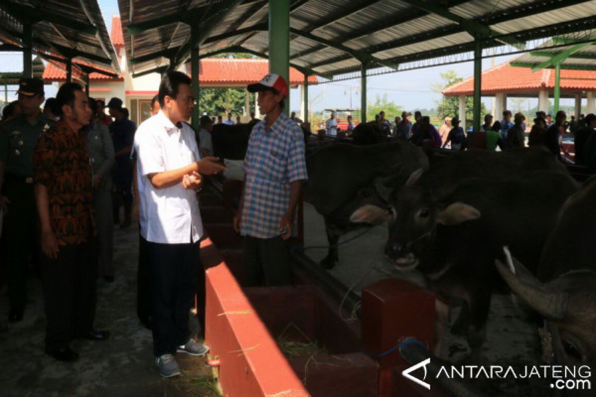 Limbah pasar ternak Kudus dimanfaatkan untuk biogas