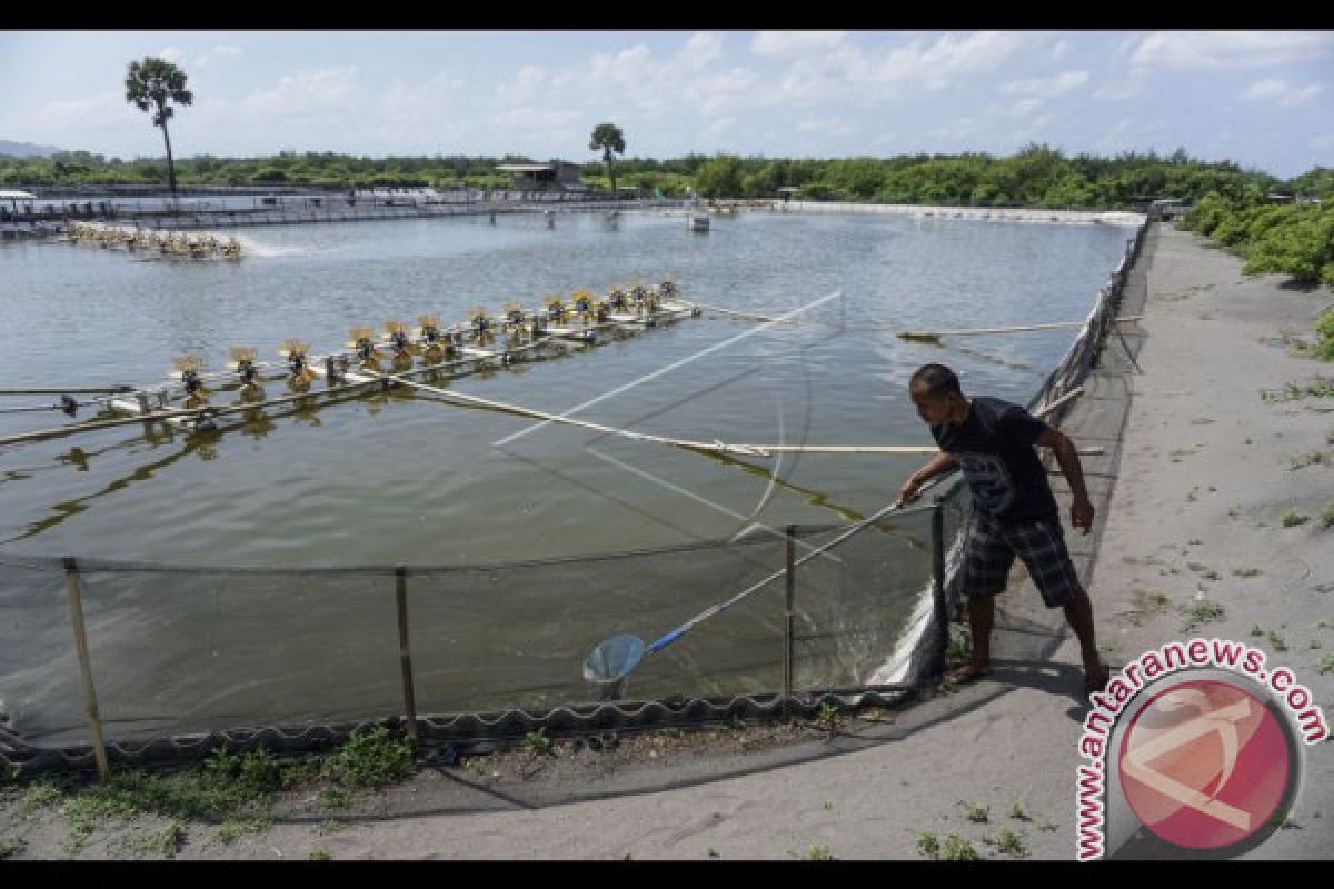 Investor Korea jajaki peluang investasi di Kendari