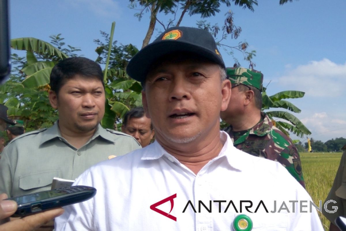 Petani diminta gunakan metode tanam "Jajar Legowo"